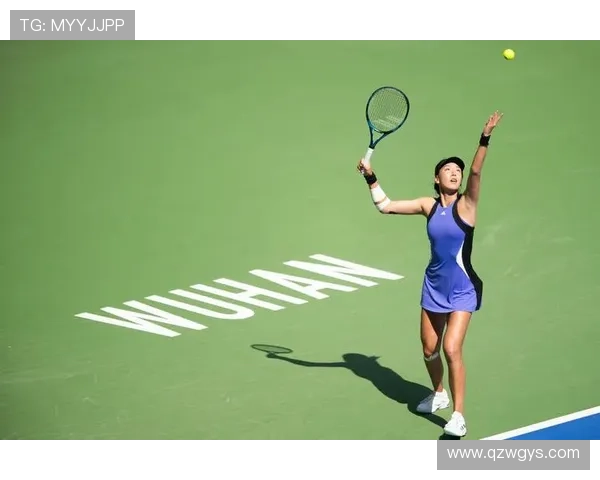 网球巨星赛季回顾:从经典对决到新兴力量崛起的精彩瞬间